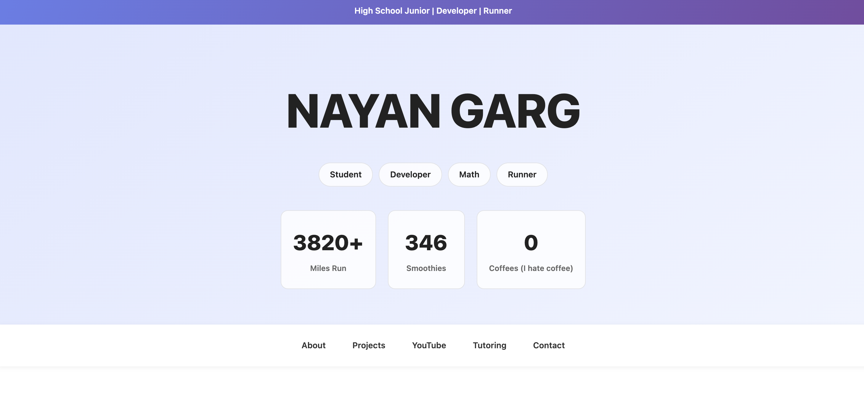 Portfolio website preview